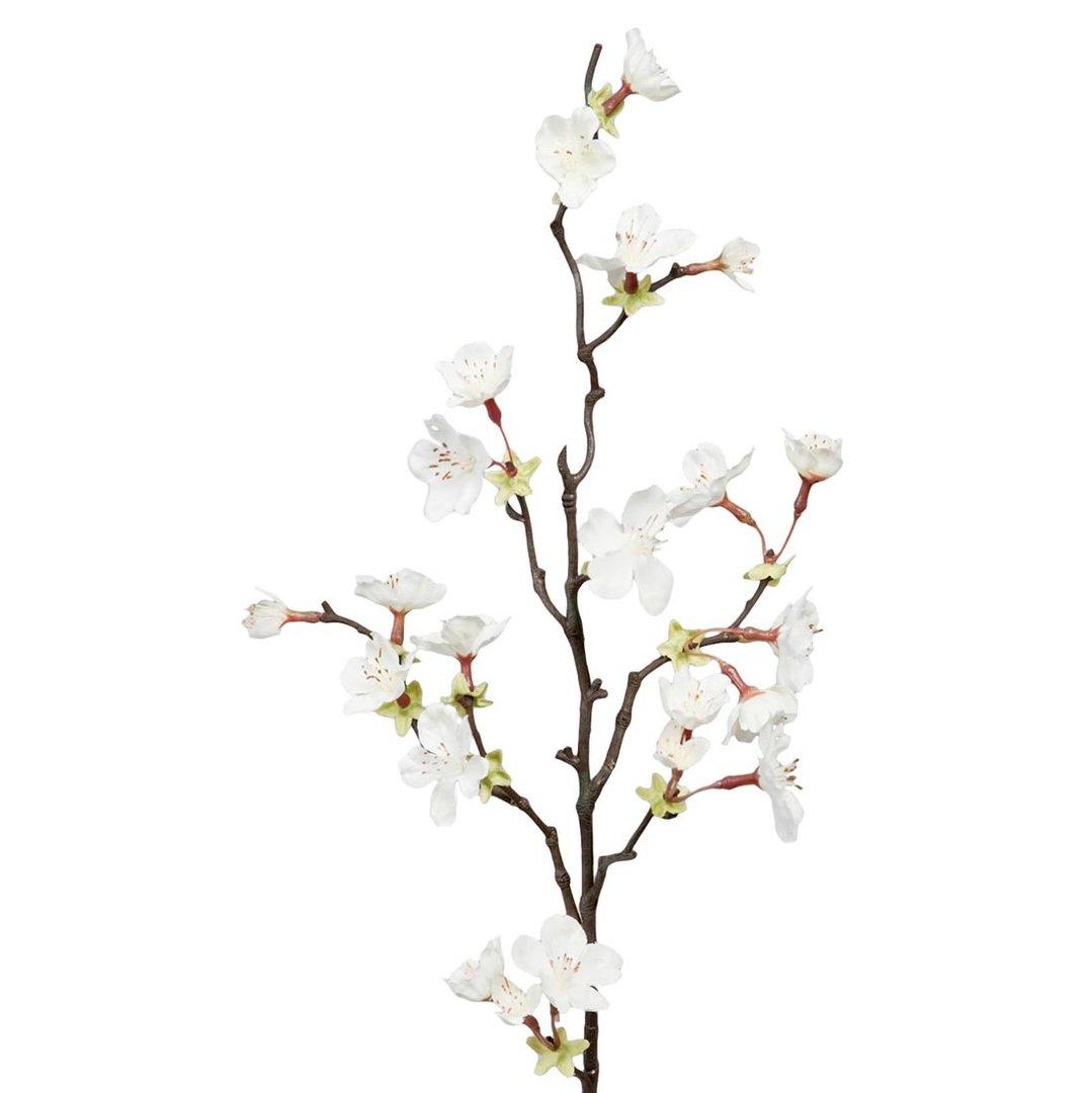 Kirsikankukka valkoinen 60cm Mr Plant