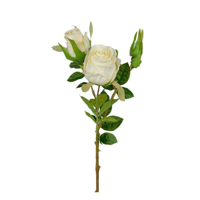Ruusunoksa valkoinen