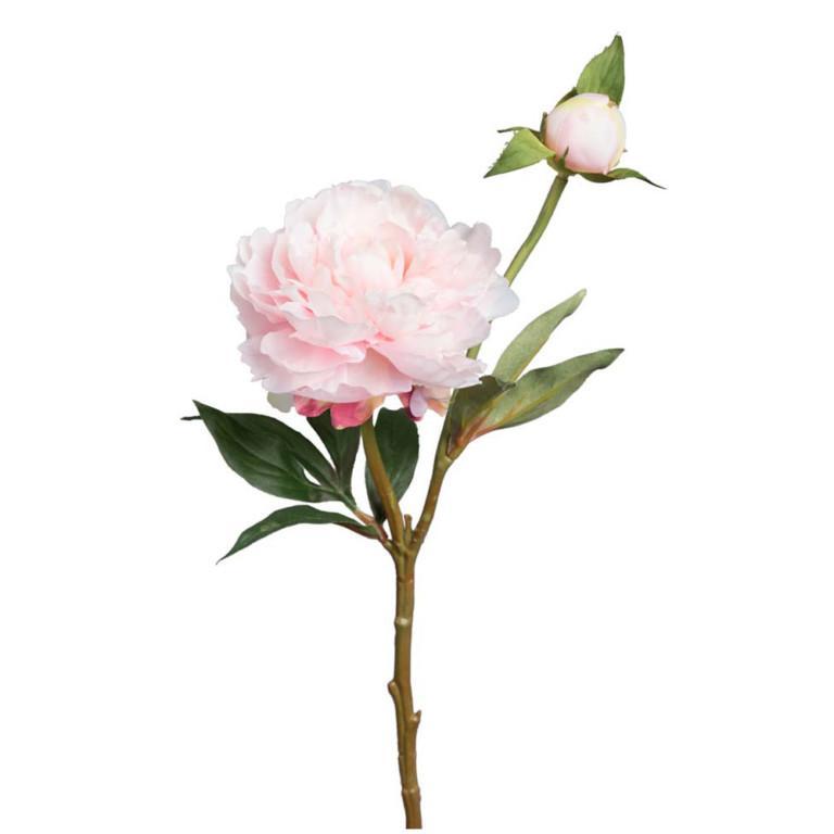 PIONI Pink 35cm Mr Plant
