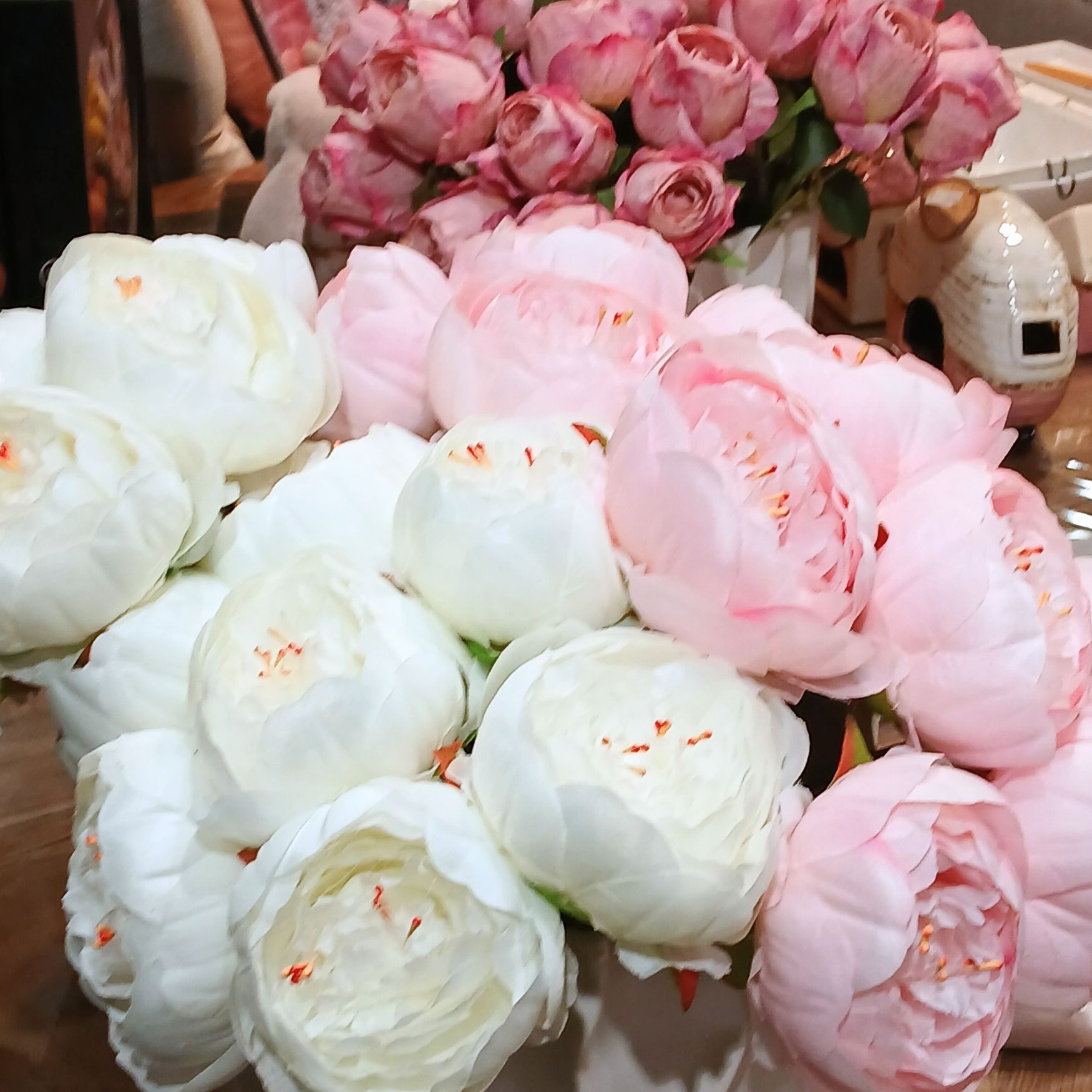 Pionikimppu valkoinen Mr Plant