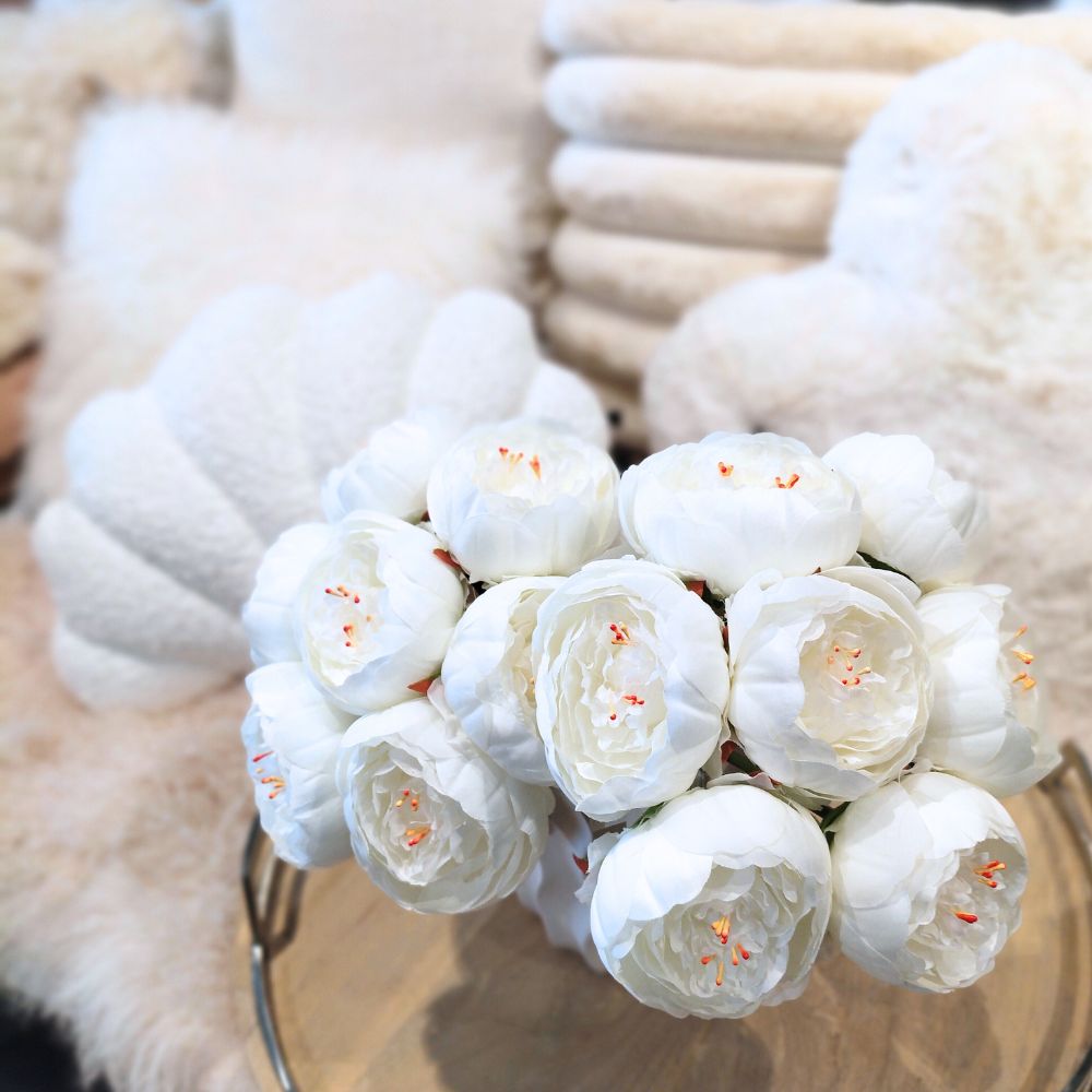 Pionikimppu valkoinen Mr Plant